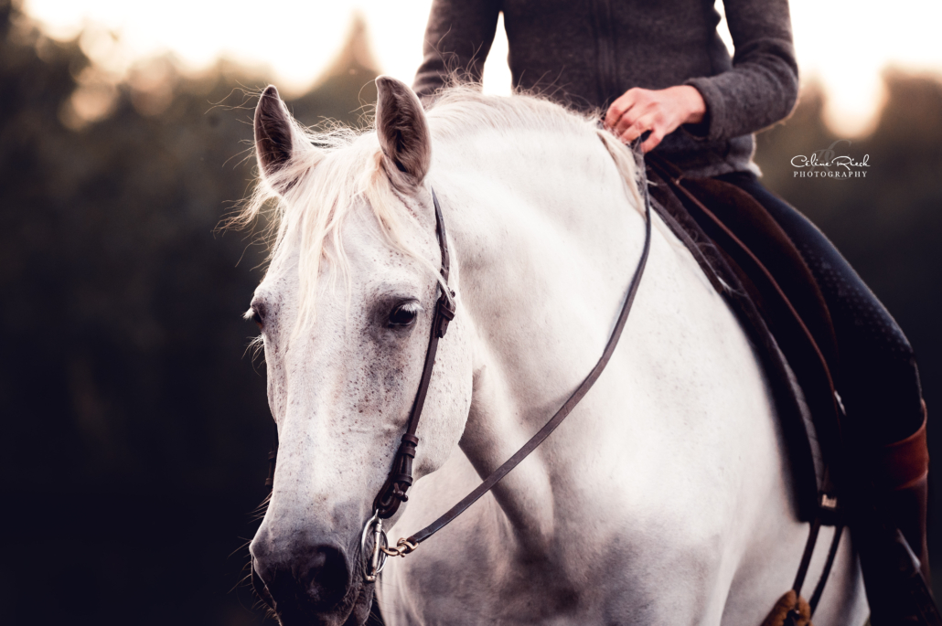 celinerieck_ZCR_2072_20250805_MajaCaspersen_final_web